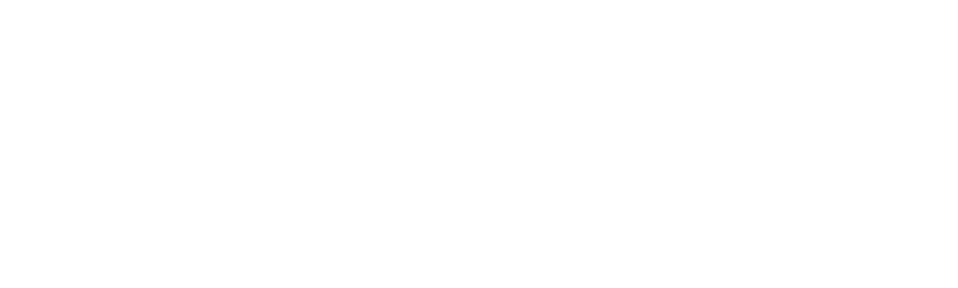 Bois de chauffage de la Capitale